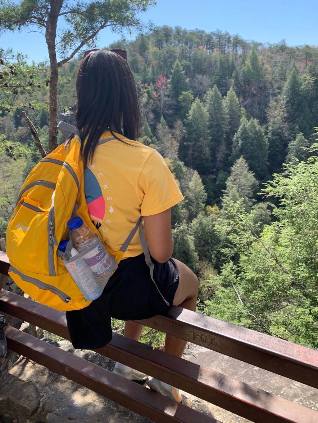 The Formation of Yellow Backpack&nbsp;Adventures